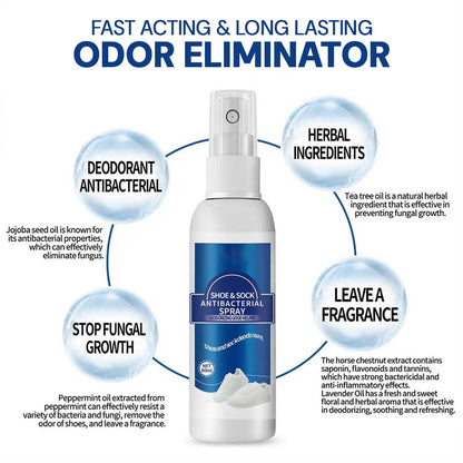 Proven & Powerful Enzyme Formula for Odor Elimination (2 Bottles)